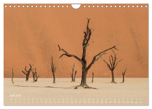 Produktbild: Astrein! - Der Baumkalender 2026 (Wandkalender 2026 DIN A4 quer), CALVENDO Monatskalender