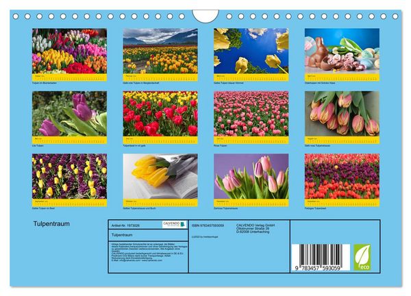 Produktbild: Tulpentraum (Wandkalender 2026 DIN A4 quer), CALVENDO Monatskalender