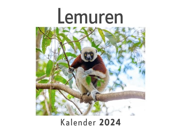 Produktbild: Lemuren (Wandkalender 2024, Kalender DIN A4 quer, Monatskalender im Querformat mit Kalendarium, Das perfekte Geschenk)