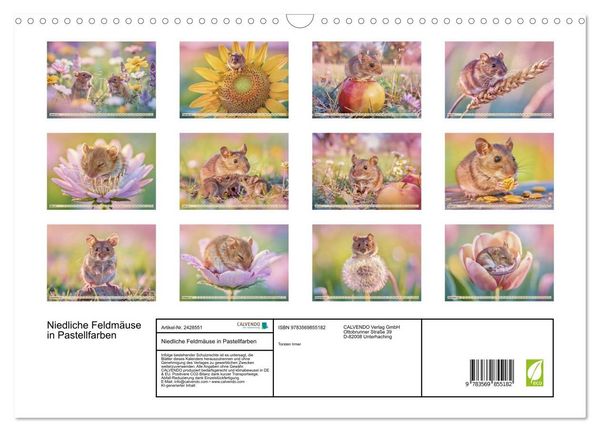 Produktbild: Niedliche Feldm&auml;use in Pastellfarben (Wandkalender 2027 DIN A3 quer), CALVENDO Monatskalender