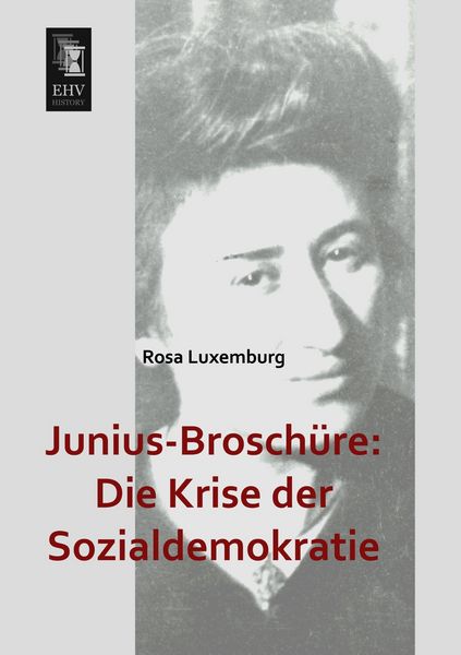 Produktbild: Junius-Brosch&uuml;re: Die Krise der Sozialdemokratie