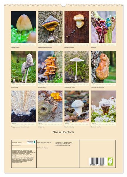 Produktbild: Pilze in Hochform (hochwertiger Premium Wandkalender 2026 DIN A2 hoch), Kunstdruck in Hochglanz
