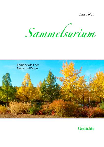 Sammelsurium, Taschenbuch von Ernst Woll, BoD – Books on Demand, 9783741252877