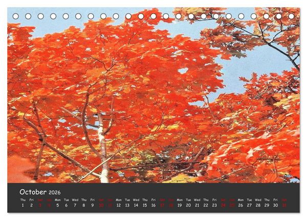 Produktbild: USA Great Country - Lovely Details (Desk Calendar 2026 DIN A5 landscape), CALVENDO 12 Month DeskCalendar