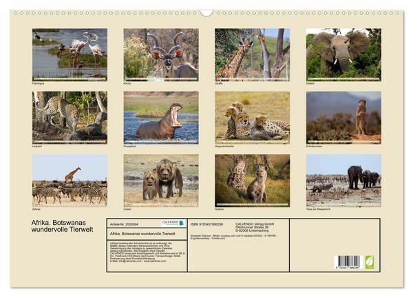 Produktbild: Afrika. Botswanas wundervolle Tierwelt (Wandkalender 2026 DIN A2 quer), CALVENDO Monatskalender