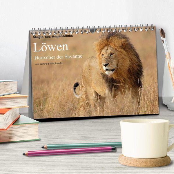 Produktbild: Magie des Augenblicks - L&ouml;wen - Herrscher der Savanne (Tischkalender 2026 DIN A5 quer), CALVENDO Monatskalender