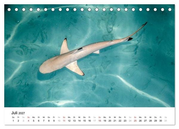 Produktbild: Malediven &ndash; Das Paradies im Indischen Ozean III (Tischkalender 2027 DIN A5 quer), CALVENDO Monatskalender