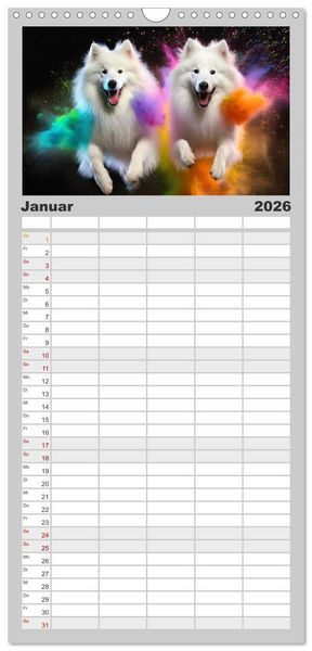 Produktbild: Familienplaner 2026 - Holi Pulver - Doppelte Action mit 5 Spalten (Wandkalender, 21 x 45 cm) CALVENDO