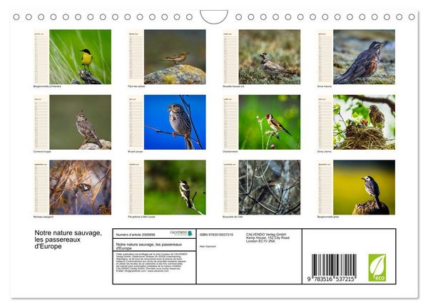 Produktbild: Notre nature sauvage, les passereaux d'Europe (Calendrier mural 2026 DIN A4 vertical), CALVENDO calendrier mensuel