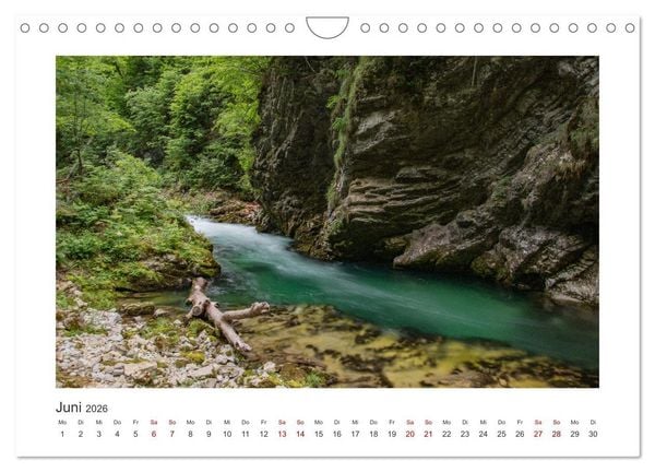 Produktbild: Slowenien - Wilde B&auml;ren und zauberhafte Natur (Wandkalender 2026 DIN A4 quer), CALVENDO Monatskalender