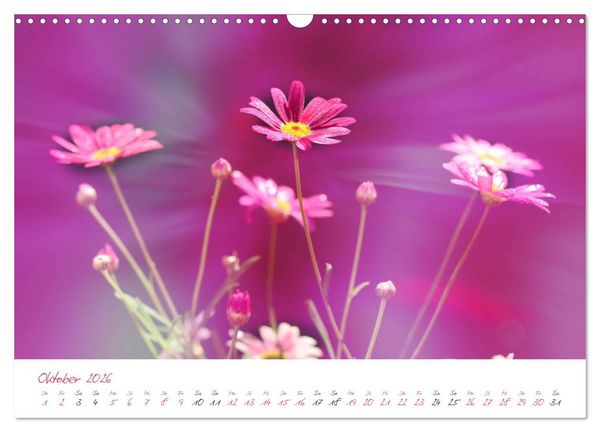 Produktbild: Bl&uuml;tentr&auml;ume in violett und pink (Wandkalender 2026 DIN A3 quer), CALVENDO Monatskalender
