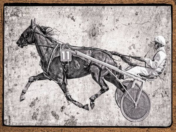 Produktbild: CALVENDO Puzzle Sulky | 1000 Teile Lege-Gr&ouml;&szlig;e 64x48cm Foto-Puzzle f&uuml;r gl&uuml;ckliche Stunden
