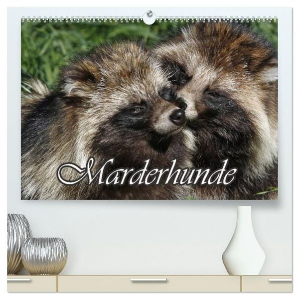 Marderhunde (hochwertiger Premium Wandkalender 2026 DIN A2 quer), Kunstdruck in Hochglanz