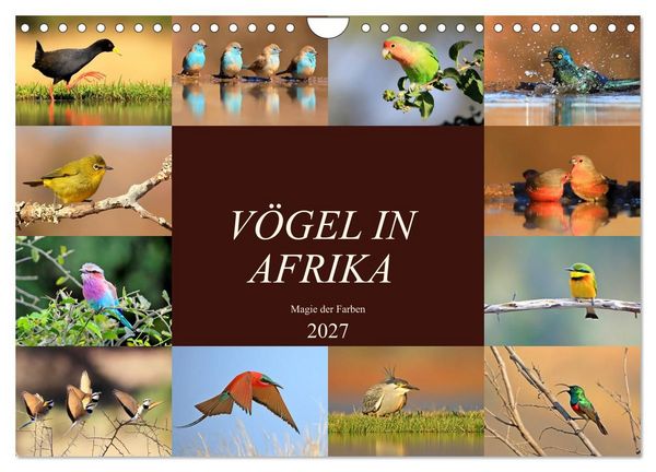 Produktbild: V&ouml;gel in Afrika - Magie der Farben (Wandkalender 2027 DIN A4 quer), CALVENDO Monatskalender