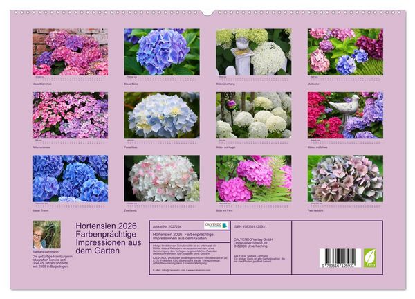 Produktbild: Hortensien 2026. Farbenpr&auml;chtige Impressionen aus dem Garten (hochwertiger Premium Wandkalender 2026 DIN A2 quer), Kunstdruck in Hochglanz