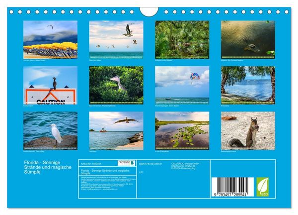 Produktbild: Florida - Sonnige Str&auml;nde und magische S&uuml;mpfe (Wandkalender 2026 DIN A4 quer), CALVENDO Monatskalender