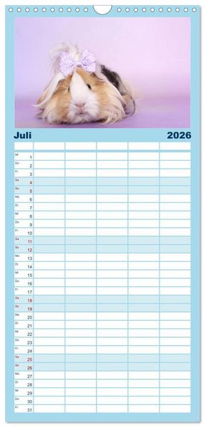 Produktbild: Familienplaner 2026 - Niedliche Meerschweinchen mit 5 Spalten (Wandkalender, 21 x 45 cm) CALVENDO