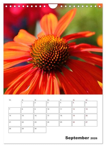 Produktbild: BL&Uuml;TENZAUBER (Wandkalender 2026 DIN A4 hoch), CALVENDO Monatskalender
