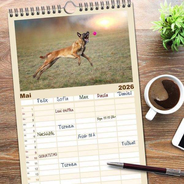 Produktbild: Familienplaner 2026 - Mit dem Malinois durch das Jahr mit 5 Spalten (Wandkalender, 21 x 45 cm) CALVENDO