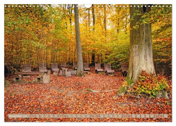 Produktbild: Der Wald - Ort der Ruhe und Besinnung (Wandkalender 2026 DIN A3 quer), CALVENDO Monatskalender