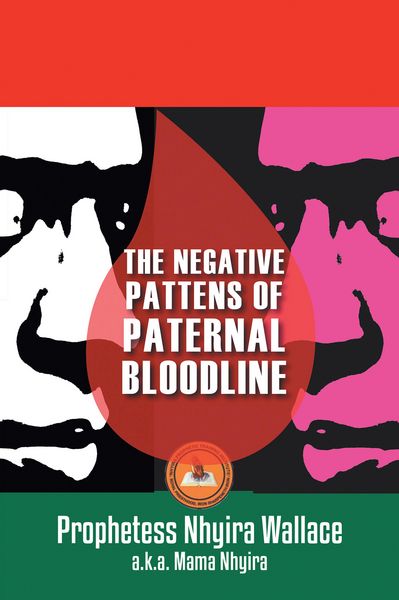 Produktbild: The Negative Patterns of Paternal Bloodline