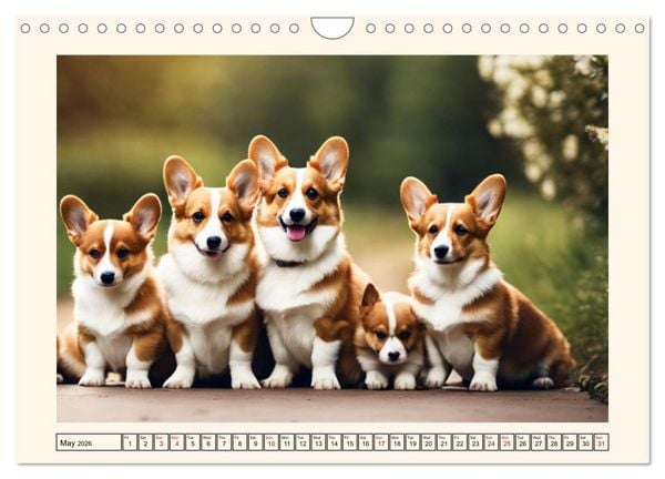 Produktbild: Welsh Corgi Pembroke (Wall Calendar 2026 DIN A4 landscape), CALVENDO 12 Month Wall Calendar