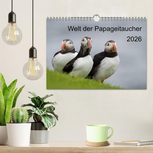 Produktbild: Welt der Papageitaucher (Wandkalender 2026 DIN A4 quer), CALVENDO Monatskalender