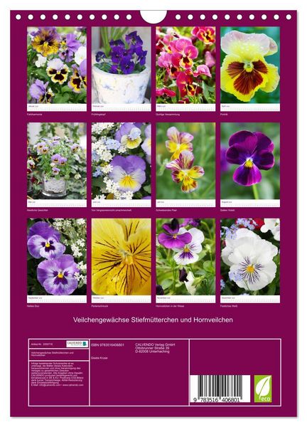 Produktbild: Veilchengew&auml;chse Stiefm&uuml;tterchen und Hornveilchen (Wandkalender 2026 DIN A4 hoch), CALVENDO Monatskalender