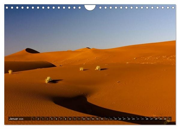 Produktbild: Wildes Namibia (Wandkalender 2026 DIN A4 quer), CALVENDO Monatskalender