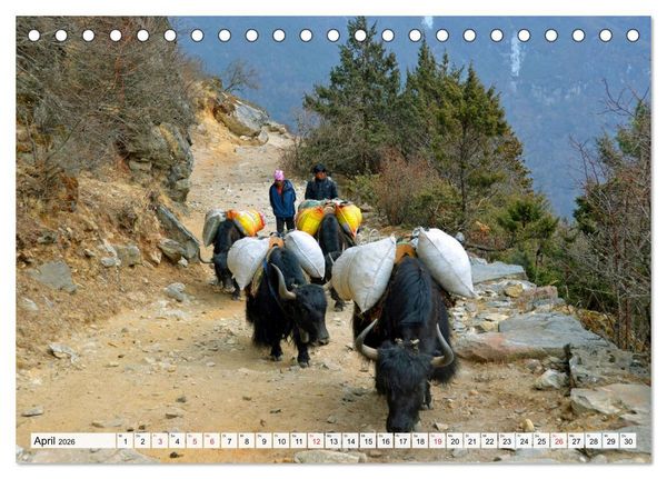 Produktbild: Traumtrekking in NEPAL (Tischkalender 2026 DIN A5 quer), CALVENDO Monatskalender