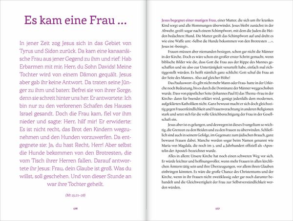 Produktbild: Die Schie&szlig;ler-Bibel