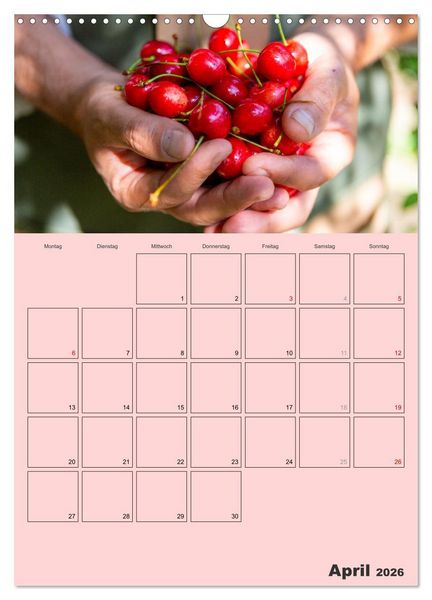 Produktbild: Obst Kalender - GESUND DURCH DAS JAHR (Wandkalender 2026 DIN A3 hoch), CALVENDO Monatskalender