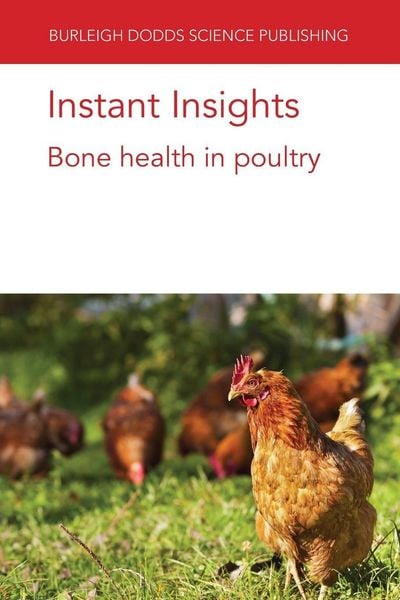 Produktbild: Instant Insights
