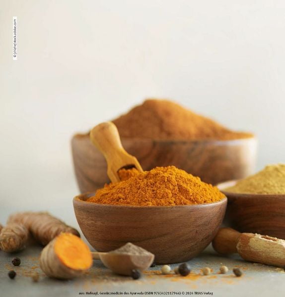 Produktbild: Gew&uuml;rzmedizin des Ayurveda. Die Heilkraft der Gew&uuml;rze nutzen
