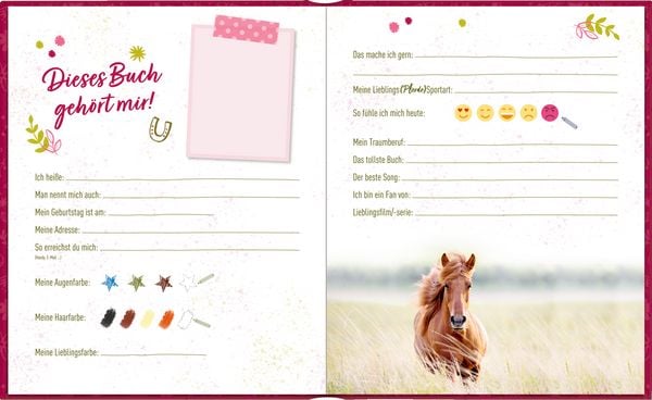 Produktbild: Freundebuch &ndash; Meine Freunde