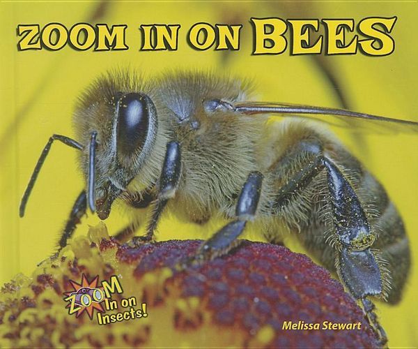 Produktbild: Zoom in On Bees