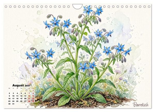Produktbild: Wilde Kostbarkeiten &ndash; Essbar, gesund & wundersch&ouml;n (Wandkalender 2027 DIN A4 quer), CALVENDO Monatskalender