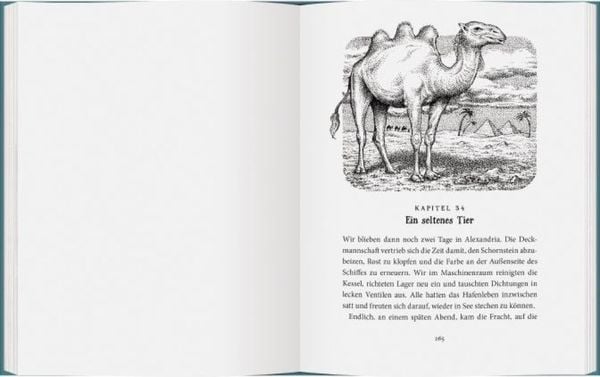 Produktbild: Sally Jones - Mord ohne Leiche