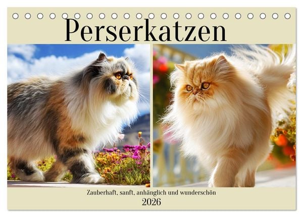 Produktbild: Perserkatzen. Zauberhaft, sanft, anh&auml;nglich und wundersch&ouml;n (Tischkalender 2026 DIN A5 quer), CALVENDO Monatskalender