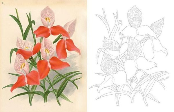 Produktbild: Kew Gardens - Florale Ausmaltr&auml;ume