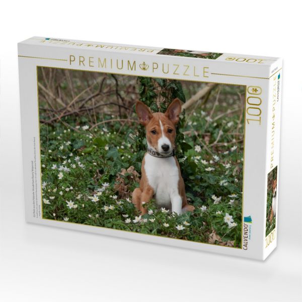 Produktbild: CALVENDO Puzzle Ein Motiv aus dem Kalender Wunderbare Basenji Welpenzeit | 1000 Teile Lege-Gr&ouml;&szlig;e 64x48cm Foto-Puzzle f&uuml;r gl&uuml;ckliche Stunden