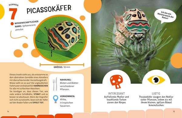 Produktbild: Top Ten die seltsamsten Insekten