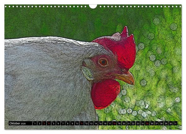 Produktbild: Die H&uuml;hner sind los! (Wandkalender 2026 DIN A3 quer), CALVENDO Monatskalender