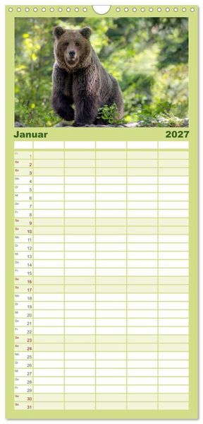 Produktbild: Familienplaner 2027 - Lautlos in den W&auml;ldern Sloweniens mit 5 Spalten (Wandkalender, 21 x 45 cm) CALVENDO