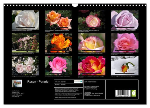 Produktbild: Rosen - Parade (Wandkalender 2026 DIN A3 quer), CALVENDO Monatskalender