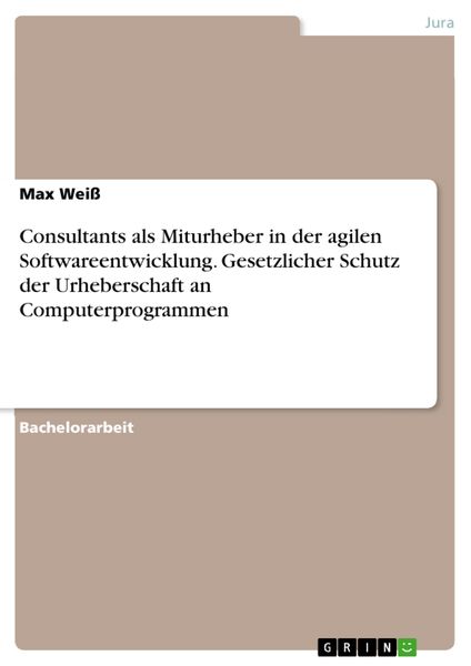 Produktbild: Consultants als Miturheber in der agilen Softwareentwicklung. Gesetzlicher Schutz der Urheberschaft an Computerprogrammen
