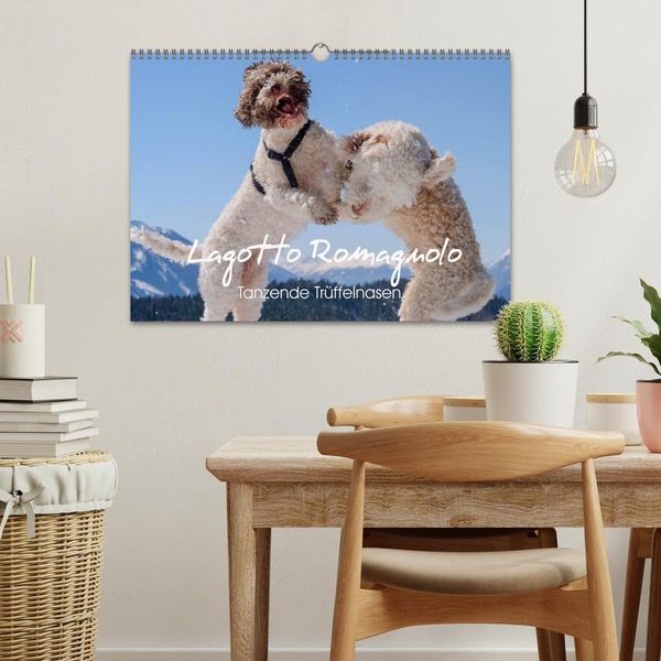 Produktbild: Lagotto Romagnolo Tanzende Tr&uuml;ffelnasen (Wandkalender 2026 DIN A3 quer), CALVENDO Monatskalender