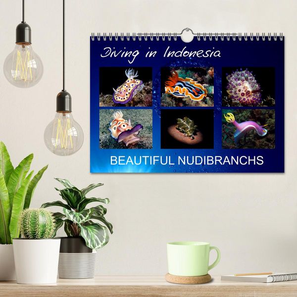 Produktbild: Diving in Indonesia - BEAUTIFUL NUDIBRANCHS (Wall Calendar 2026 DIN A4 landscape), CALVENDO 12 Month Wall Calendar