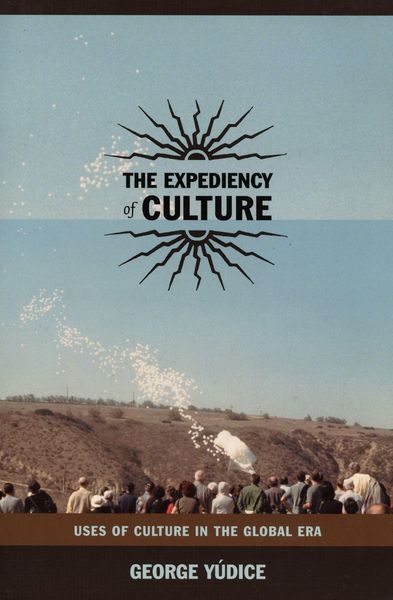 Produktbild: The Expediency of Culture