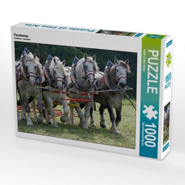 CALVENDO Puzzle Percheron | 1000 Teile Lege-Größe 64x48cm Foto-Puzzle für glückliche Stunden